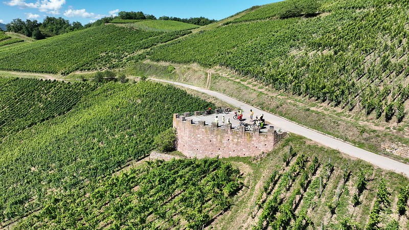 vignoble-colmar vignoble-colmar